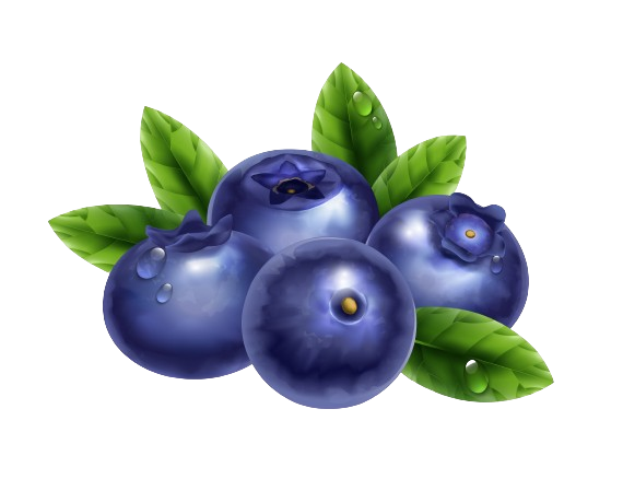 Blueberry