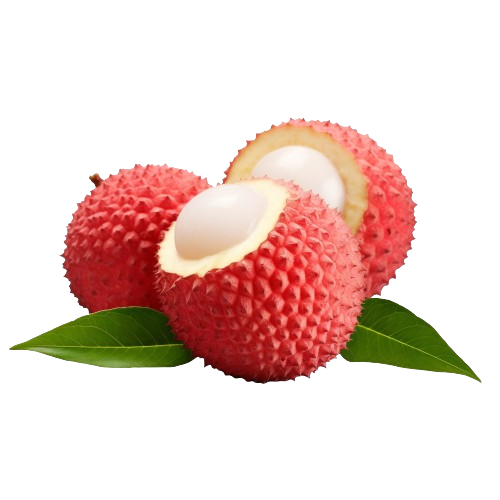 Litchi